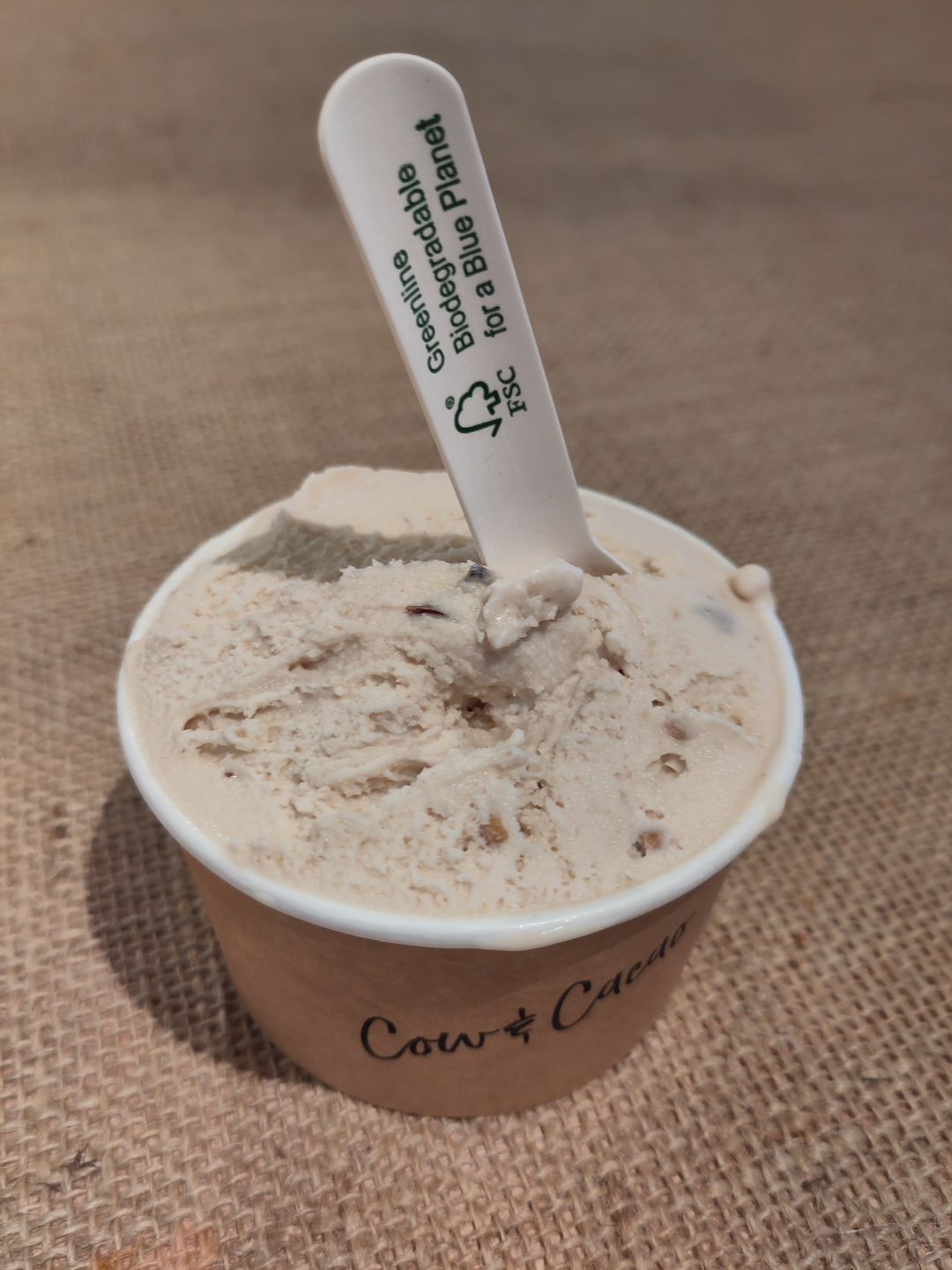 Hazelnut Gianduja Ice Cream